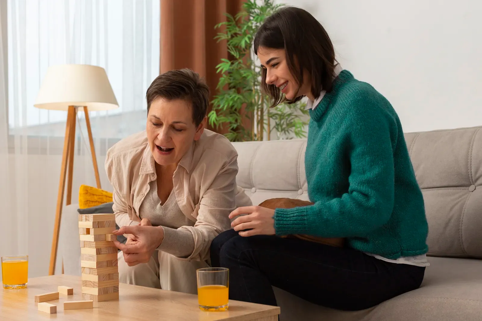 Team Care Support services