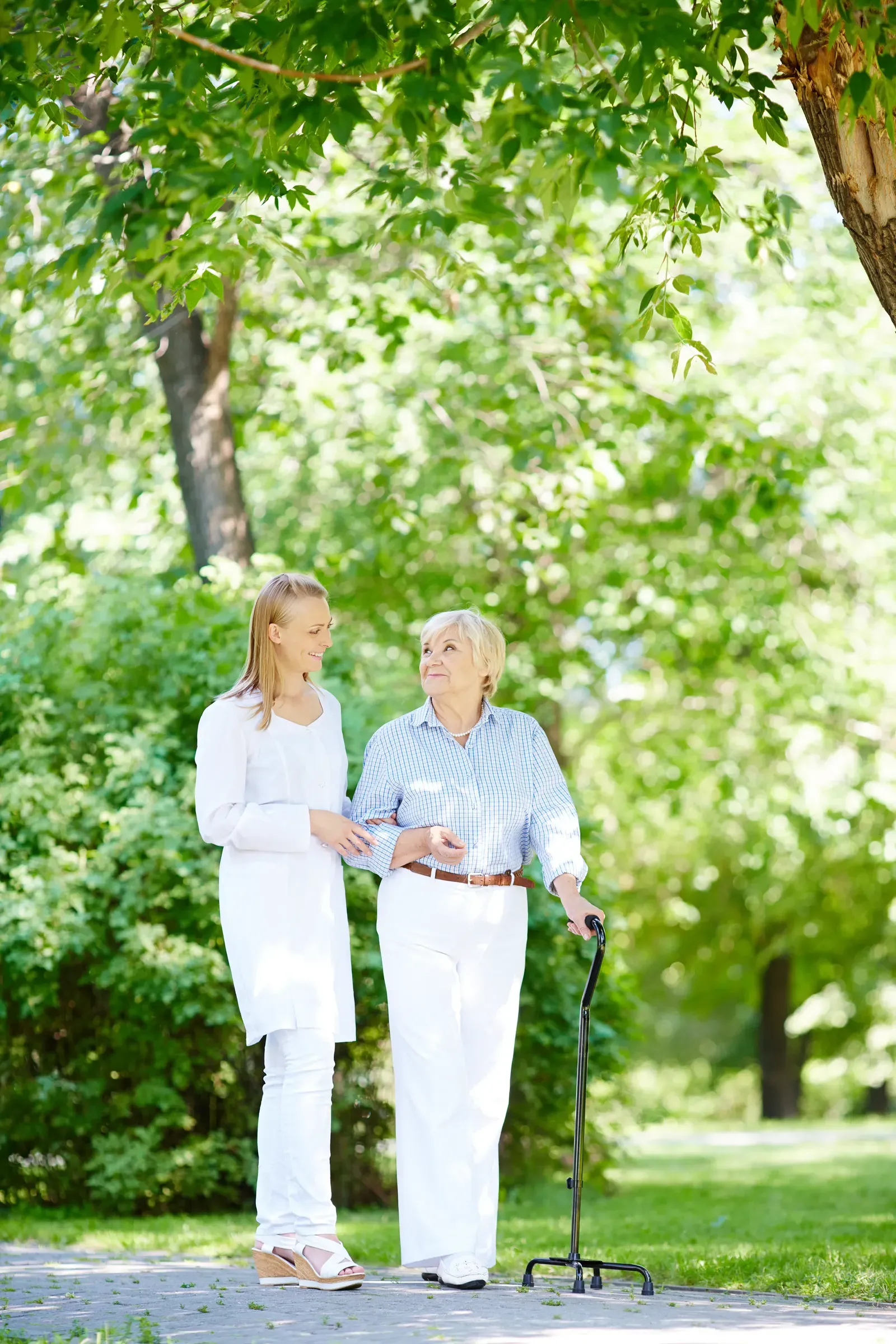 Companionship Care